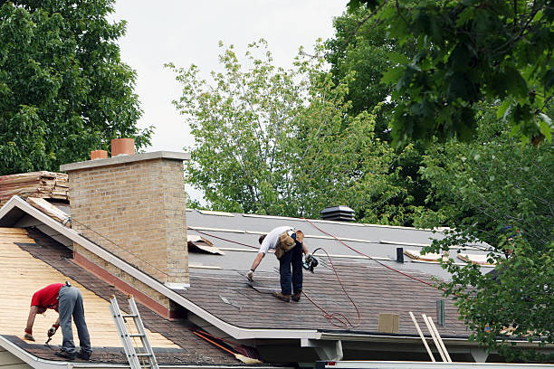 Best Roof Moss and Algae Removal  in Port Vue, PA